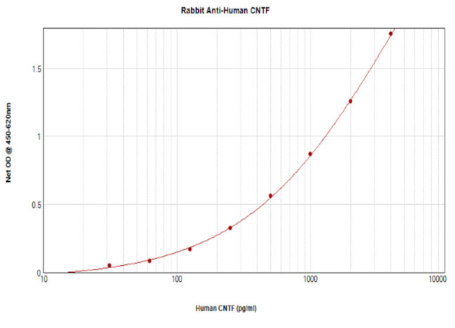 CNTF Antibody in ELISA (ELISA)