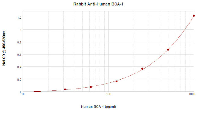 CXCL13 Antibody in ELISA (ELISA)