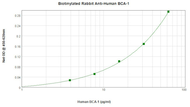 CXCL13 Antibody in ELISA (ELISA)