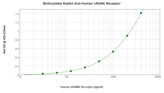 RANK (soluble) Antibody in ELISA (ELISA)