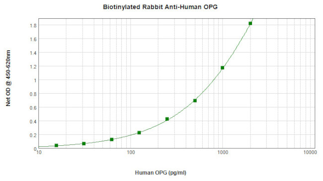 TNFRSF11B Antibody in ELISA (ELISA)