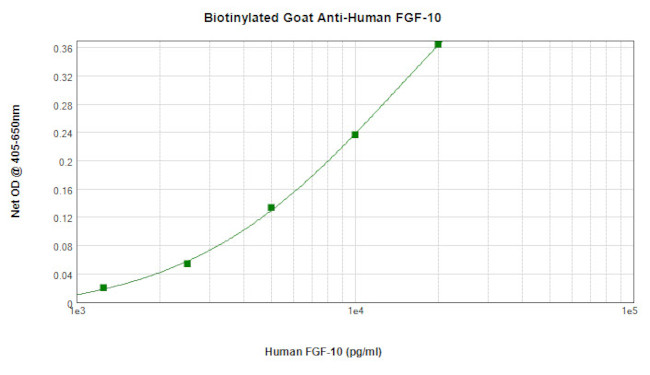 FGF10 Antibody in ELISA (ELISA)