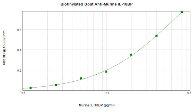 IL18BP Antibody in ELISA (ELISA)