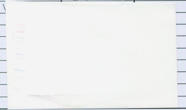 beta-2 Defensin Antibody in Western Blot (WB)