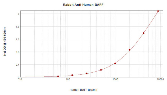 BAFF Antibody in ELISA (ELISA)