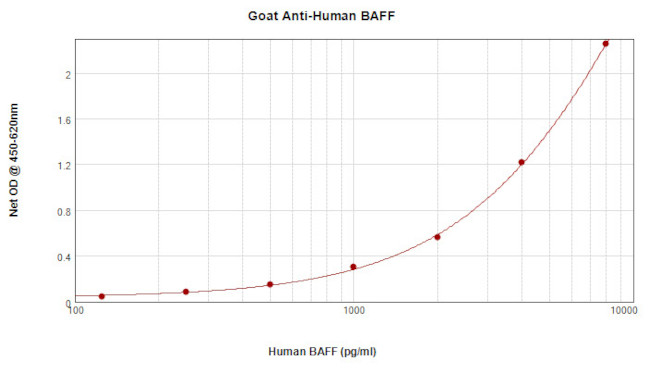 BAFF Antibody in ELISA (ELISA)