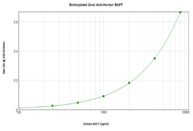 BAFF Antibody in ELISA (ELISA)