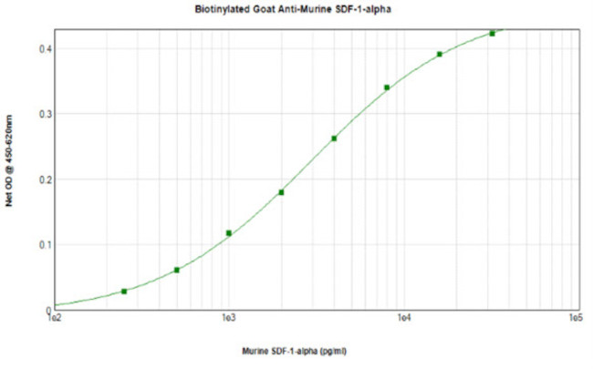 CXCL12 alpha (SDF-1 alpha) Antibody in ELISA (ELISA)