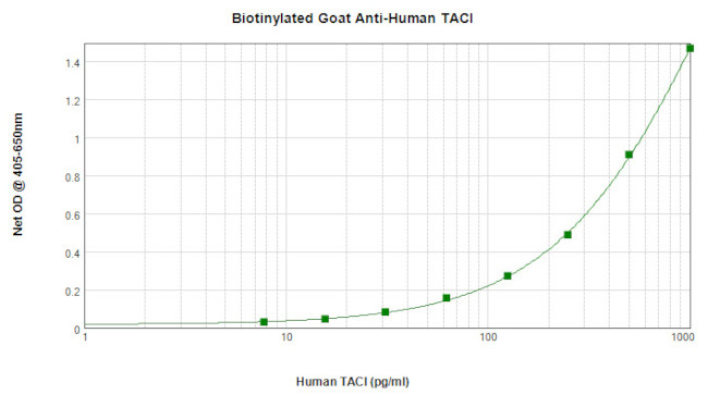 CD267 (TACI) Antibody in ELISA (ELISA)