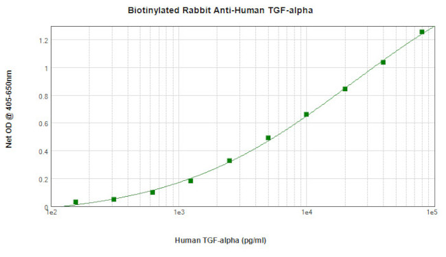 TGF alpha Antibody in ELISA (ELISA)