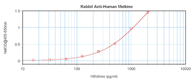 Midkine Antibody in ELISA (ELISA)