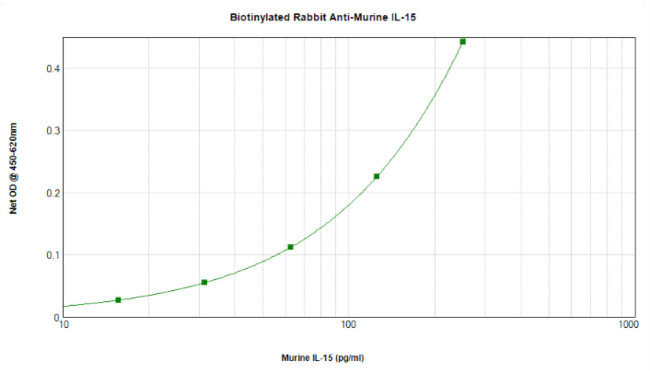 IL-15 Antibody in ELISA (ELISA)