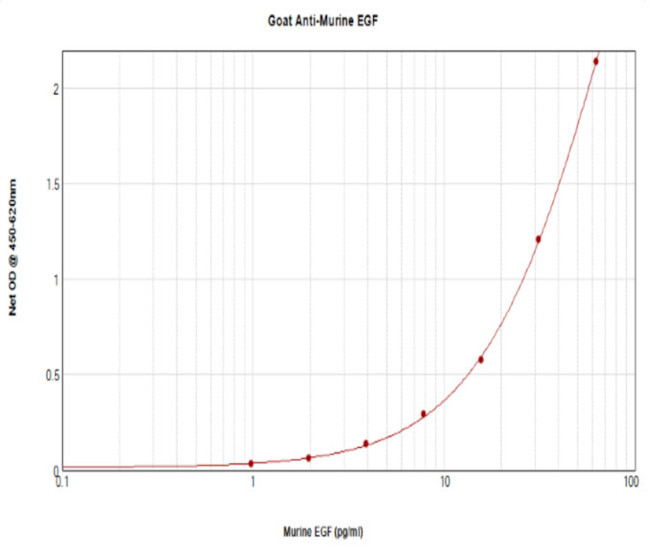 EGF Antibody in ELISA (ELISA)