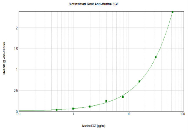 EGF Antibody in ELISA (ELISA)