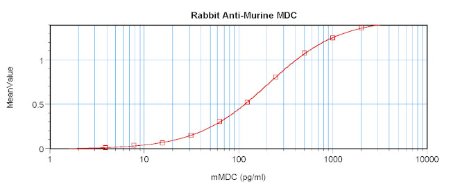 MDC Antibody in ELISA (ELISA)