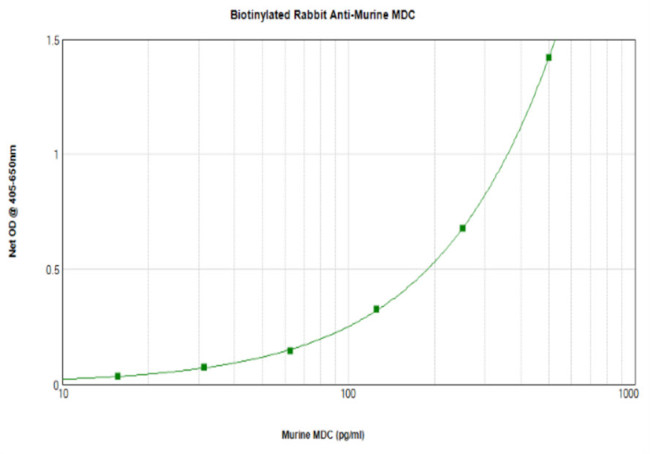 MDC Antibody in ELISA (ELISA)