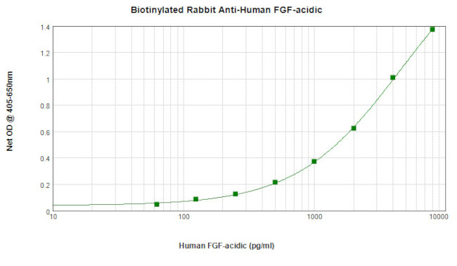 FGF1 Antibody in ELISA (ELISA)