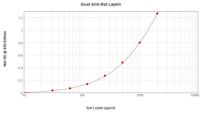 Leptin Antibody in ELISA (ELISA)