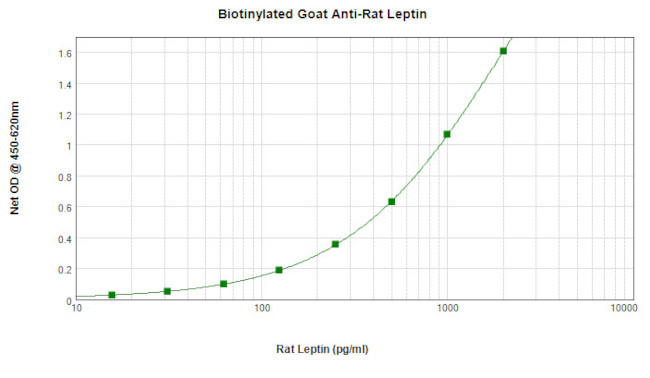 Leptin Antibody in ELISA (ELISA)