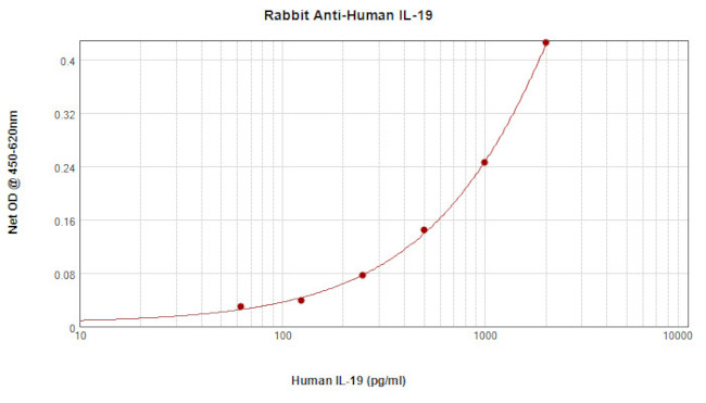 IL-19 Antibody in ELISA (ELISA)