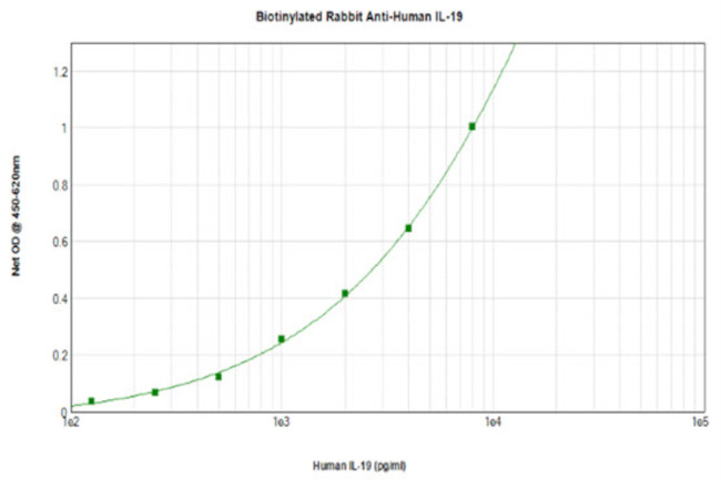 IL-19 Antibody in ELISA (ELISA)