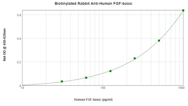 FGF2 Antibody in ELISA (ELISA)