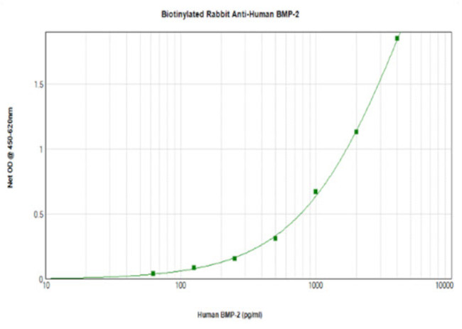 BMP-2 Antibody in ELISA (ELISA)