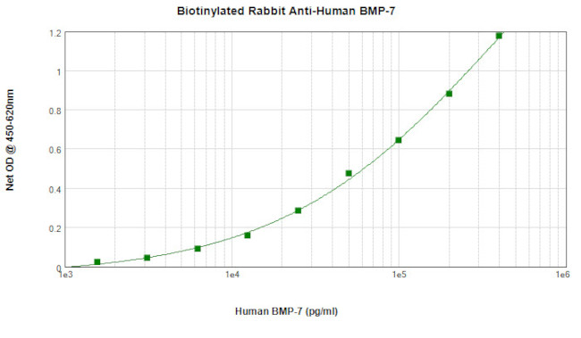 BMP-7 Antibody in ELISA (ELISA)