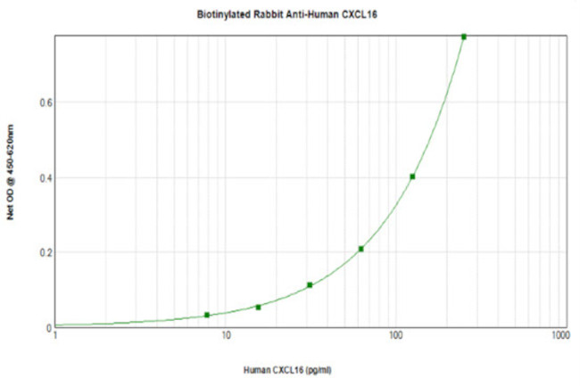 CXCL16 Antibody in ELISA (ELISA)