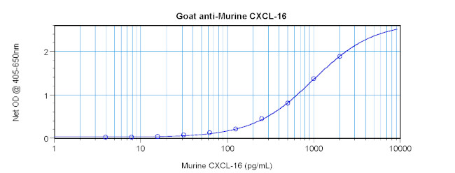 CXCL16 Antibody in ELISA (ELISA)