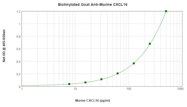 CXCL16 Antibody in ELISA (ELISA)