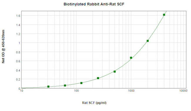 SCF Antibody in ELISA (ELISA)