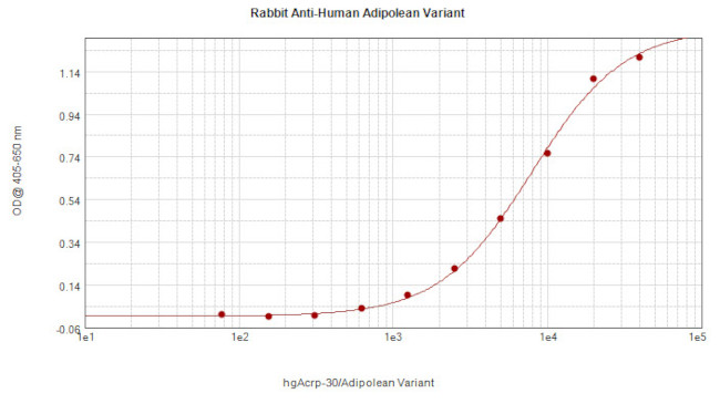 Adipolean variant Antibody in ELISA (ELISA)