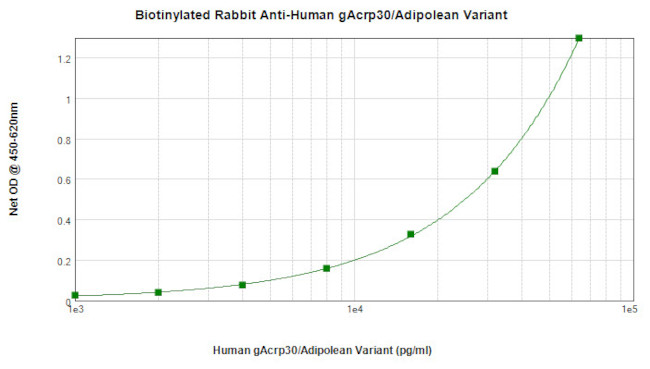 Adipolean variant Antibody in ELISA (ELISA)