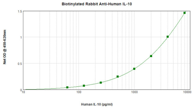 IL-10 Antibody in ELISA (ELISA)