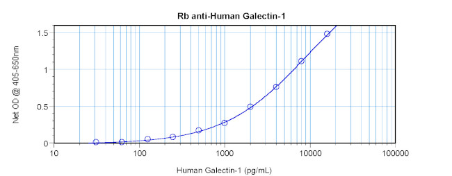 Galectin 1 Antibody in ELISA (ELISA)