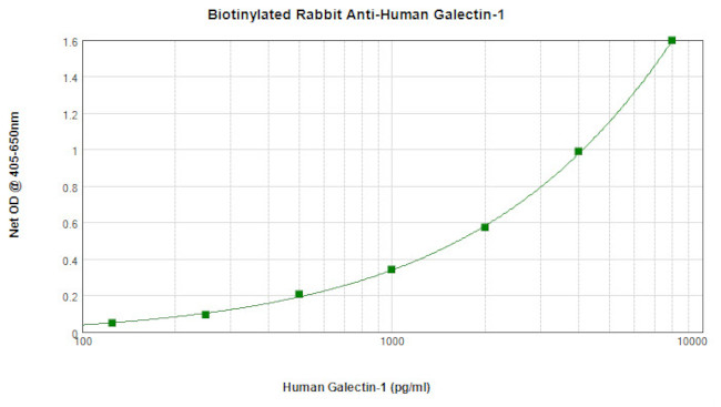 Galectin 1 Antibody in ELISA (ELISA)