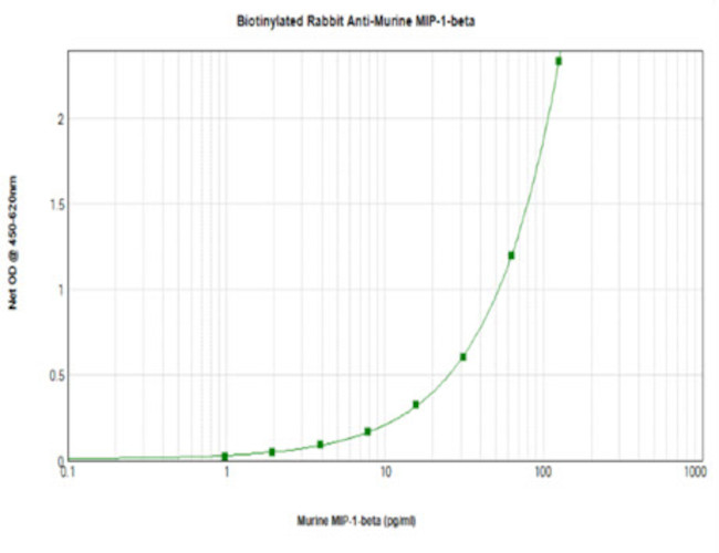 CCL4 Antibody in ELISA (ELISA)