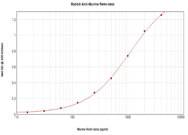 RELM beta Antibody in ELISA (ELISA)