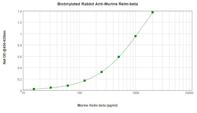 RELM beta Antibody in ELISA (ELISA)