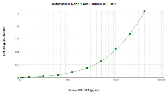 IGFBP-1 Antibody in ELISA (ELISA)