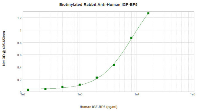 IGFBP5 Antibody in ELISA (ELISA)