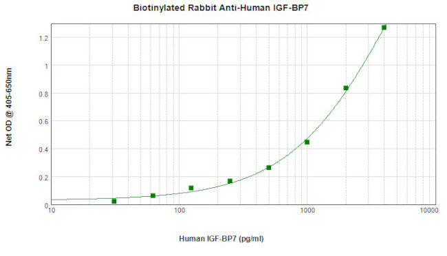 IGFBP7 Antibody in ELISA (ELISA)