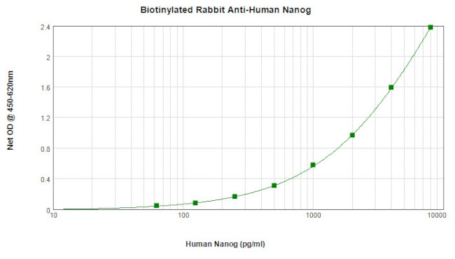 Nanog Antibody in ELISA (ELISA)