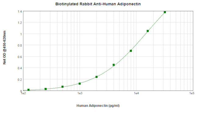 Adiponectin Antibody in ELISA (ELISA)