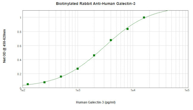 Galectin 3 Antibody in ELISA (ELISA)