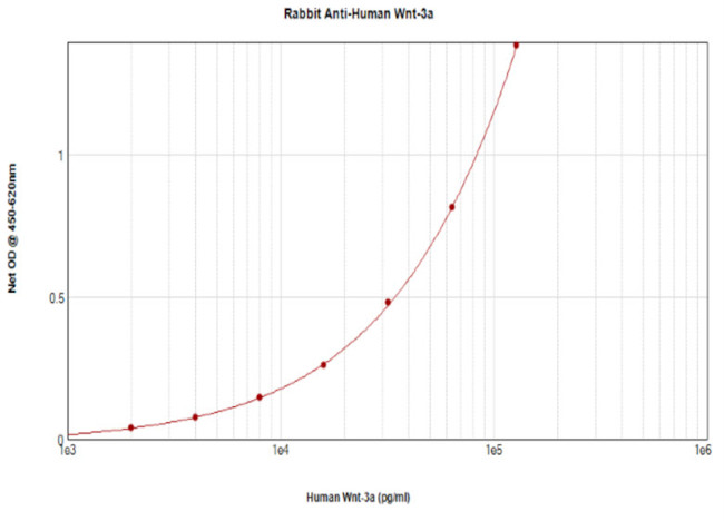 WNT3A Antibody in ELISA (ELISA)