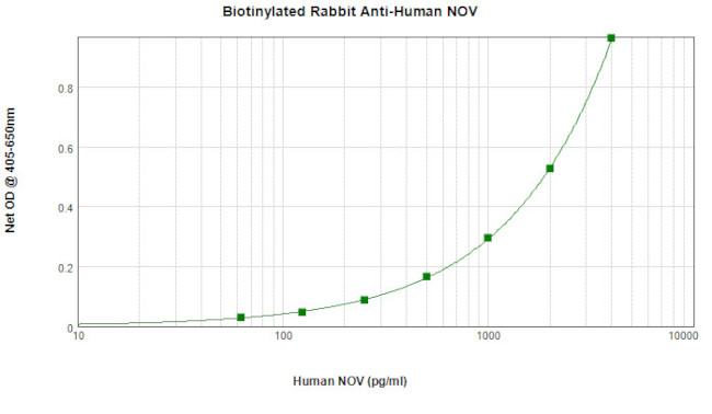 NOV Antibody in ELISA (ELISA)