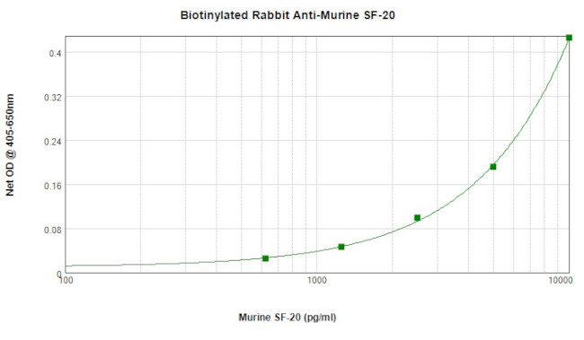 C19orf10 Antibody in ELISA (ELISA)