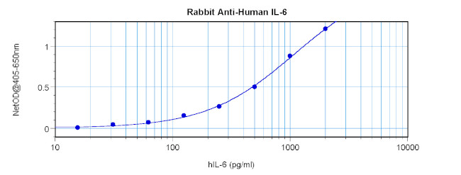 IL-6 Antibody in ELISA (ELISA)